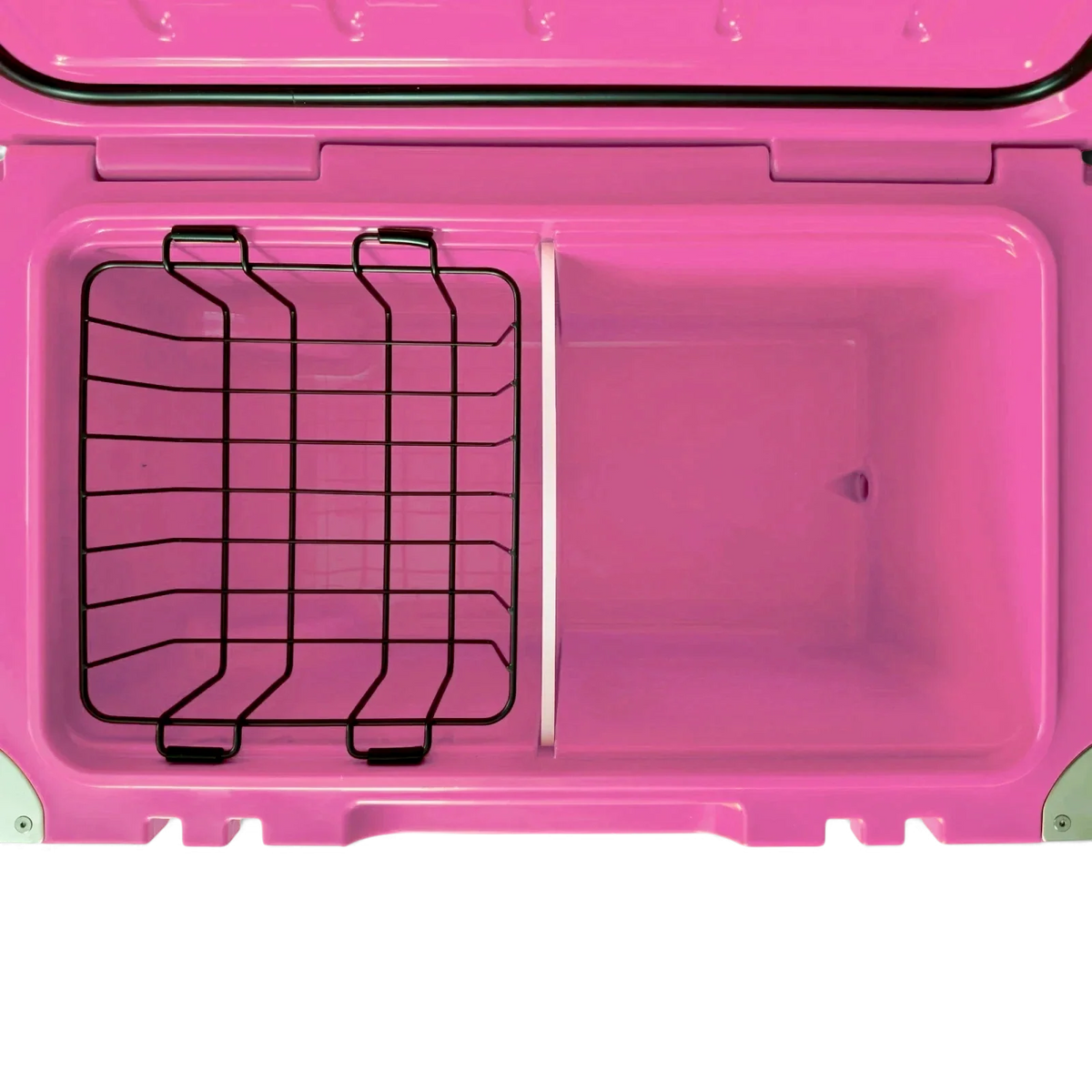 Orbie 55 Wheeled Cooler - Pink